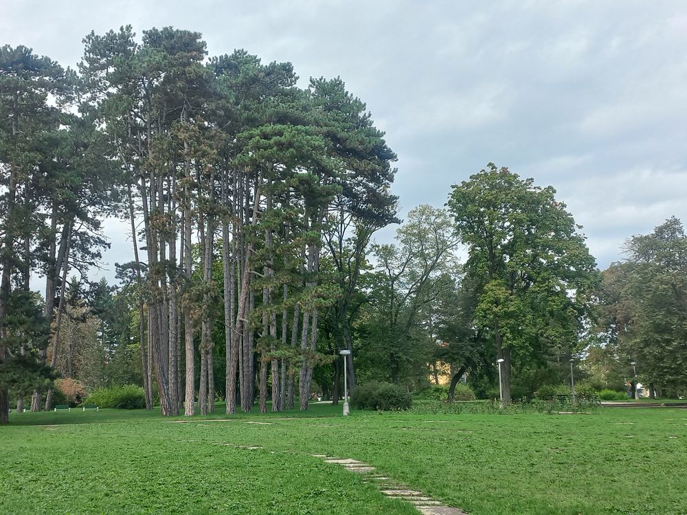 Dolní foto 3