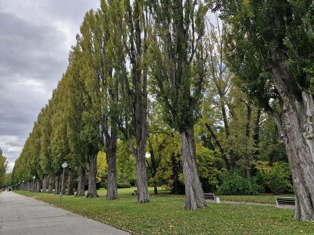 Horní foto 1