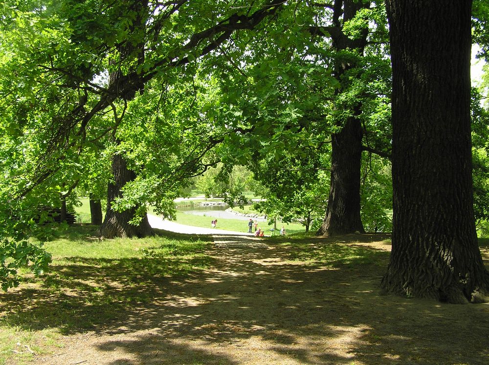 Horní foto 1