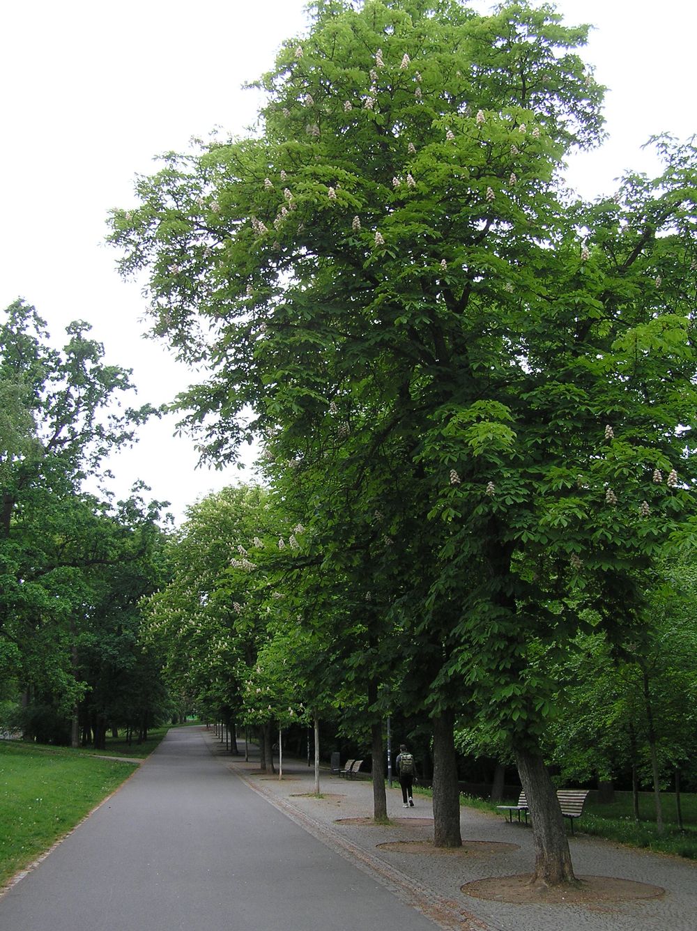 Horní foto 2